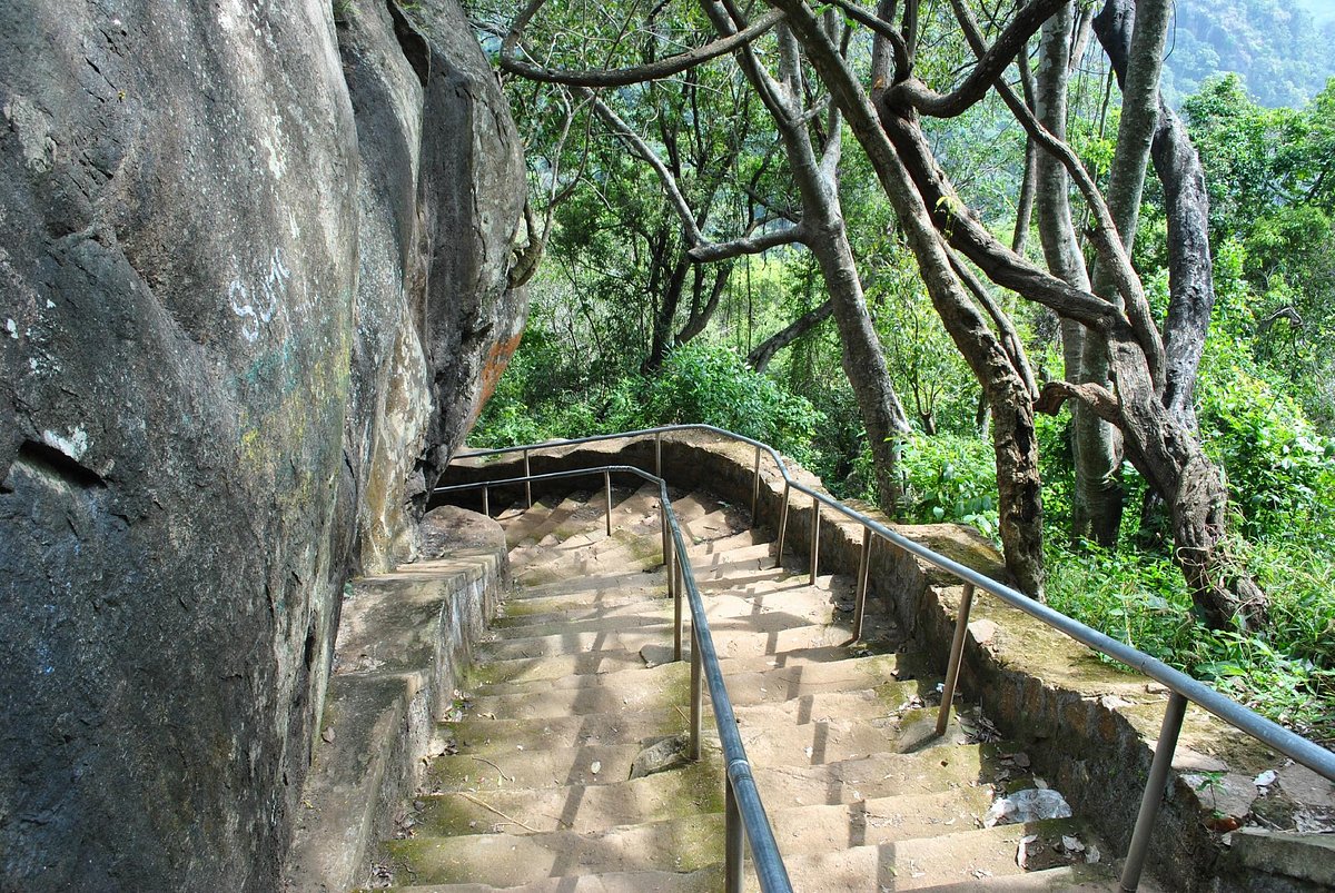 Aagaya Gangai Falls near Seattle Garden