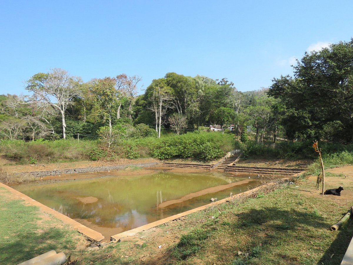 Boat House near Seattle Garden Kolli Hills